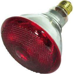 Satco 04751 175BR38/HR S4751 Heat Lamp Light Bulb