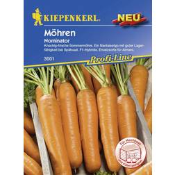 Kiepenkerl Möhre Nominator Daucus carota, Inhalt: ca.