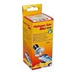 Lucky Reptile Mini Halogen Sun Dubbel Pack 20 W