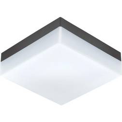 Loops IP44 Wall Flush Light