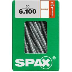 Spax Lot de 30 vis Acier Tête Cylindrique Diam.6 mm x 100 mm