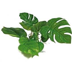 Wave Croci AMTRA ANUBIAS plastic plant 30cm