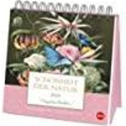 Heye Premium Postkartenkalender 2024