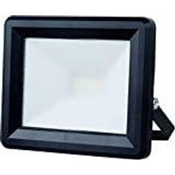 MegaLight Floodlight out100 80736 LED-Außenstrahler 100