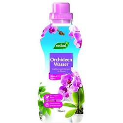 Westland Orchideen Wasser