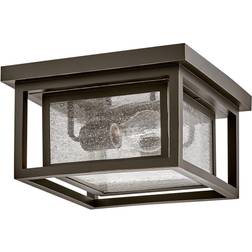 Hinkley 1003 Republic 2 Ceiling Flush Light