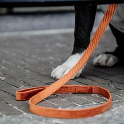 Kentucky Guinzaglio Per Cane Velvet 120 cm Orange