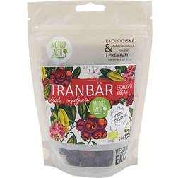 Mother Earth Tranbär Sötade Äppeljuice EKO 250g