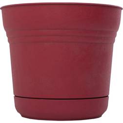 Bloem SP1212 Saturn Planter, 12-Inch, Union