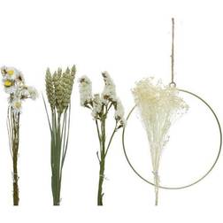 Marelida Bastelset DIY Dekoring mit Trockenblumen und Gräsern Trockenblu