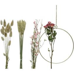 Marelida Bastelset DIY Dekoring mit Trockenblumen und Gräsern Trockenblu
