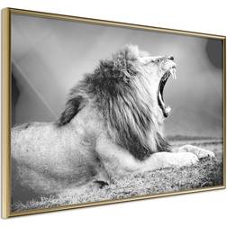 Artgeist Inramad - Yawning Lion 30x20 Tavla