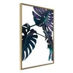 Artgeist Plakat ramme Evergreen Monstera Billede