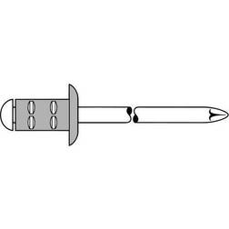 Blindnitter Ø x L 4 mm x 10 mm Set of 100