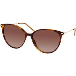 HUGO BOSS Round Sunglasses - Havana