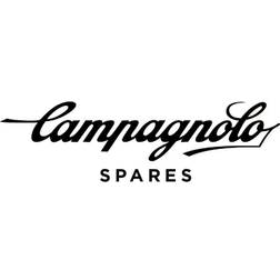 Campagnolo Schaltung + Antrieb