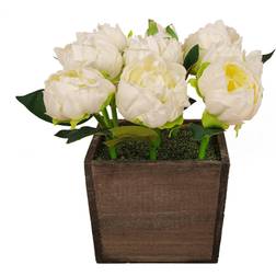 National Tree Company White Peony Flowers In Wood Box Vase