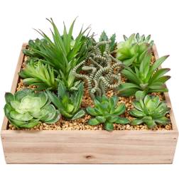 Pure Garden Assorted Faux Succulents Lifelike Arrangement