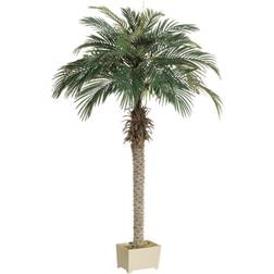 Allstate Set of 2 Potted Artificial Silk Phoenix Palm Trees Artificial Plant