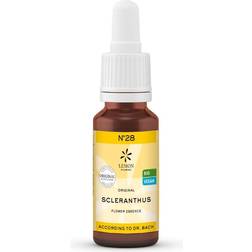 Bachblomster Knavel Scleranthus • 20ml.