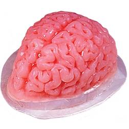 Fun World Brain Gelatin Chocolate Mold