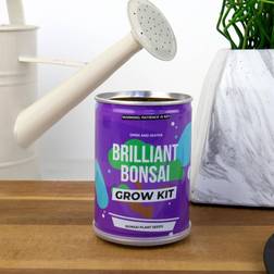 Gift Republic Brilliant Bonsai Grow Tin Grow Yourself Grow