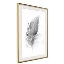 Artgeist Feather Grey Poster