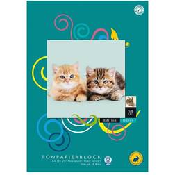 Staufen Format-Duerer Tonpapierblock A4 130g/qm 20 Blatt farbig sortiert