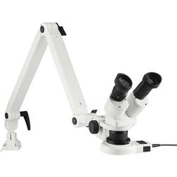 Eschenbach Microscopio Stereoscopico Binoculare 20 x Luce Riflessa