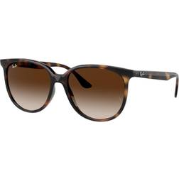 Ray-Ban Havana Sunglasses - Gradient Brown