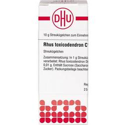 Dhu-Arzneimittel RHUS TOXICODENDRON C 1000 Globuli