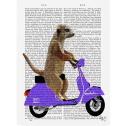 Trademark Fine Art Meerkat On Lilac Moped Canvas Funky Wall Decor