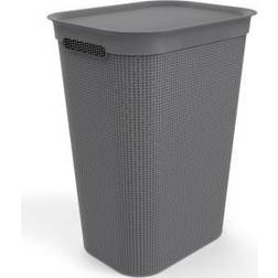 Rotho Collettore de Lavaggio 50 l con Coperchio e 2 Maniglie Plastica 50 l Vassoio da portata