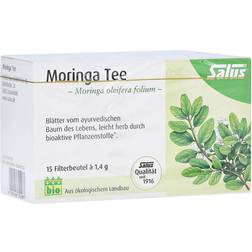 Moringa Tee Bio Moringa oleifera