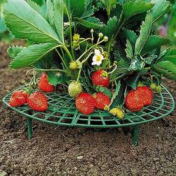 Set de 5 Support Pour Fraises - Vert - D 40 x H 10 cm