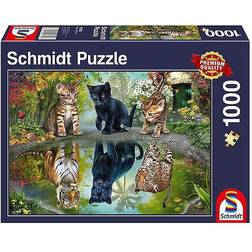 Schmidt Spiele Puzzle Dream Big 1000 Teile