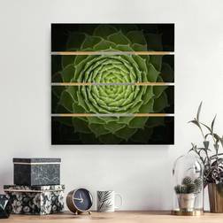 Impression sur bois Mandala Succulent