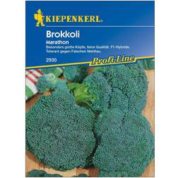 Kiepenkerl Brokkoli Marathon Brassica oleracea italica, Inhalt: