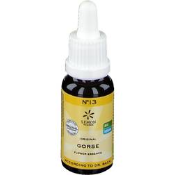 Hager Pharma Bachblomster Tornblad Gorse • 20ml.