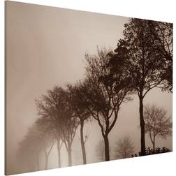 Tableau Magnétique Arbre Avanue Dans La Brume Du Matin