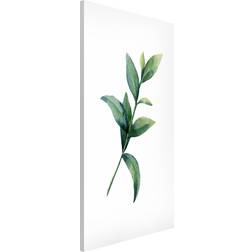 Magnettafel Aquarell Eucalyptus II