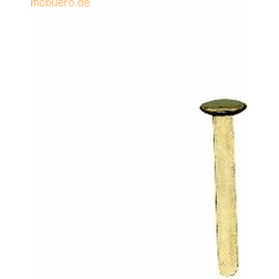 Cloer Tachuelas Para Papel Plástico 100 Broches