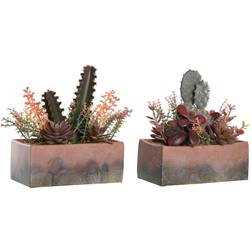 Dkd Home Decor 19 Pink Kaktus Eva Kunstig plante