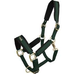 Back On Track Werano Halter Green