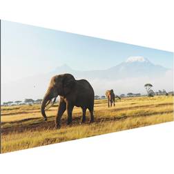 Tableau sur aluminium Eléphants devant le Kilimandjaro au Kenya