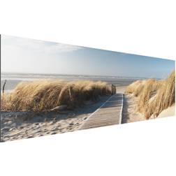 Alu-Dibond Bild Natur & Landschaft Panorama Ostsee Strand