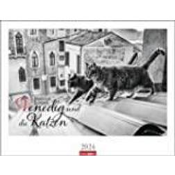 Katzen Kalender 2024