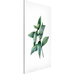 Magnettafel Aquarell Eucalyptus III