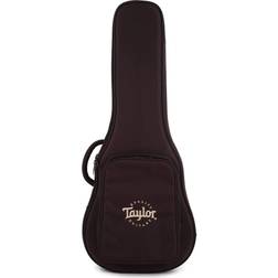 Taylor AeroCase GS Mini