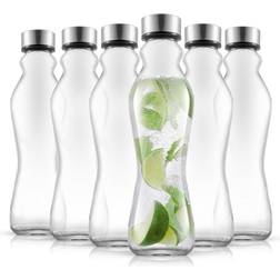 Joyjolt Spring 18 Clear Glass Insulated with Stainless Steel Cap Water Bottle